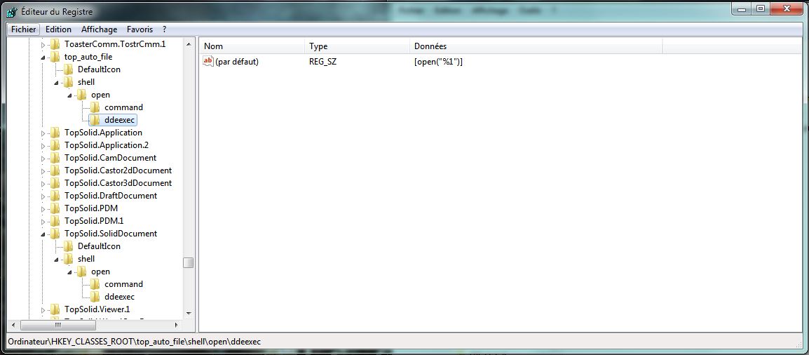 reg top_auto_file ddeexec.JPG
